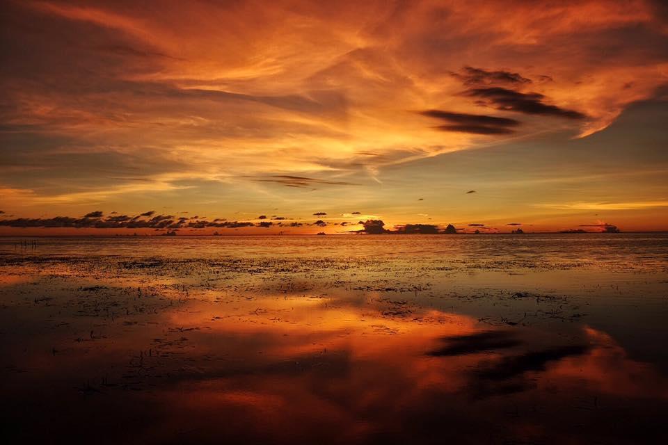 Birdland Beach Club Bolinao Exteriér fotografie
